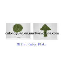 Dehydrated Millet Onion Flake